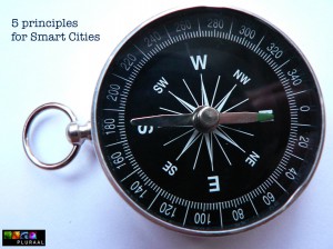 Pluraal 5 principles compass
